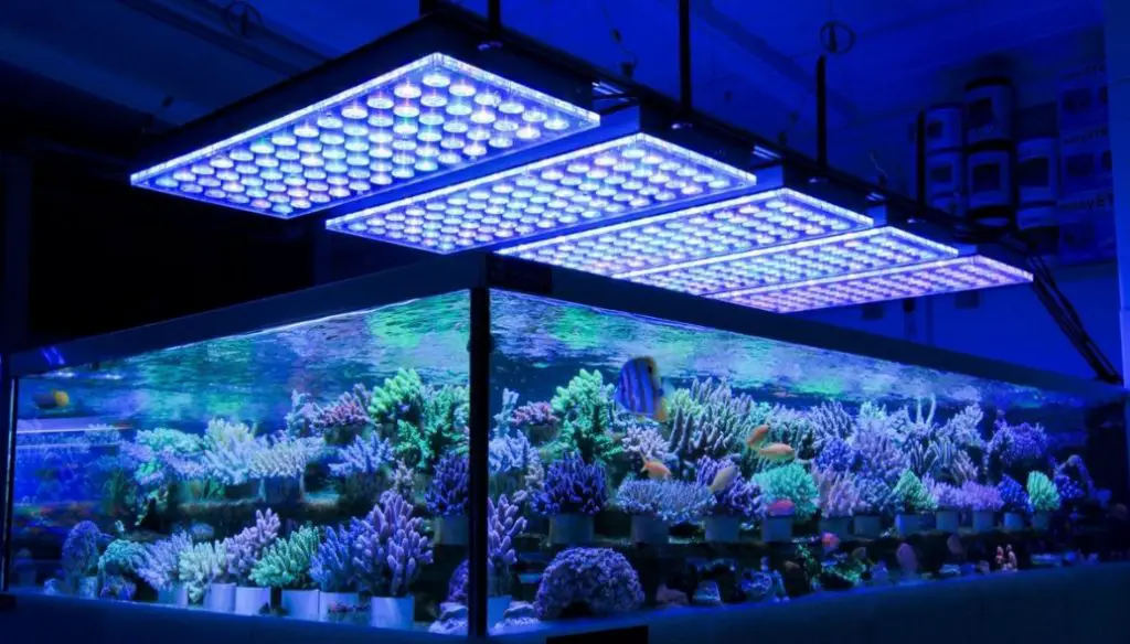 Amazing LED Aquarium Lights